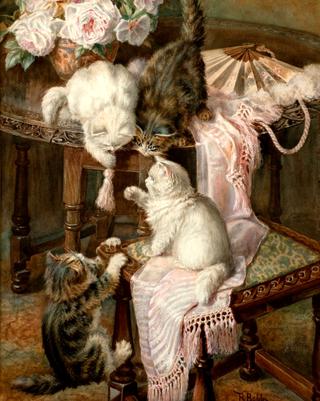 Kittens Playing