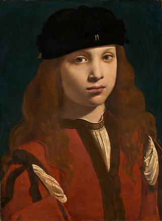 年轻人的肖像（可能是弗朗西斯科·斯福尔扎，帕维亚伯爵）