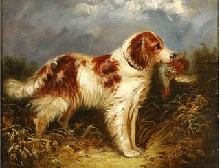 Red and White Retriever with a Partridge