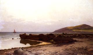 Coastal Landscape