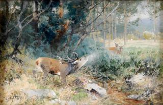 The Stag