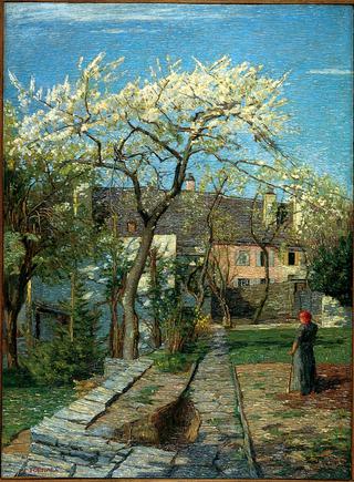 Cherry Tree in Blossom