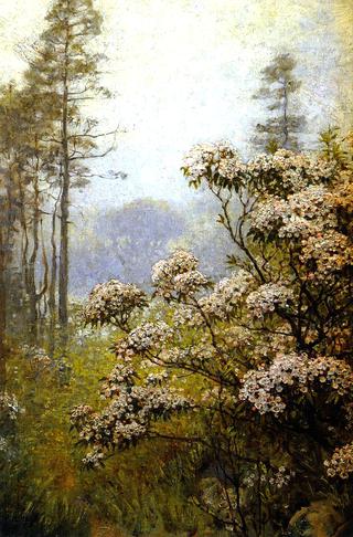 Landscape with Pink Mountain Laurel
