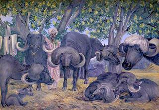 布隆格水牛，卡提瓦，印度，联邦储备银行，1879年