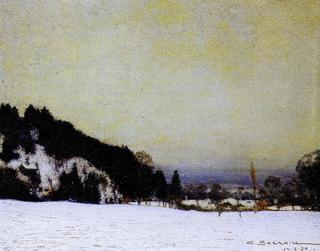 La pineta d'inverno