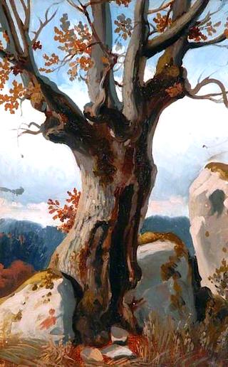 Study of a Tree