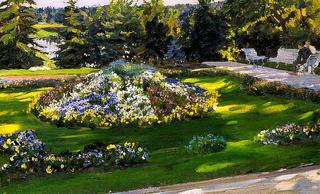 Flowers in the Sunlight