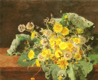 Dandelions
