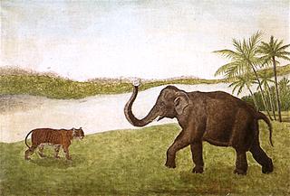 The Tiger and the Elephant