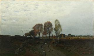 Landscape