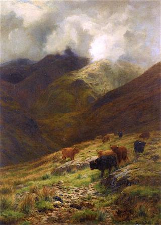 Beneath the Gathering Mists, Highland Cattle