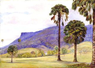 View of Illawarra, New South Wales