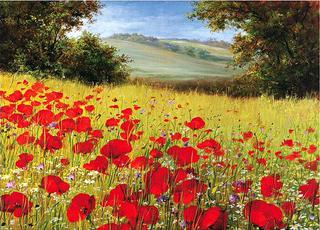 Sparkling Field