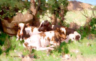 Calves Resting