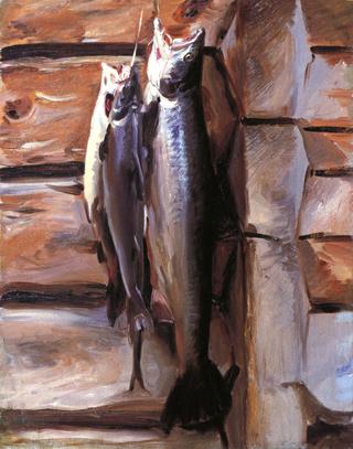 A Study of Salmon in Norway