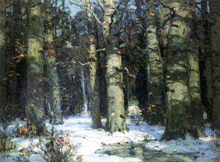 Winter in the Forest