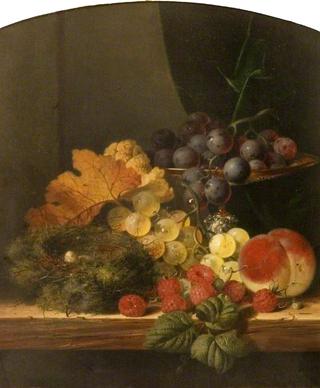 Still Life with Fruit and a Bird's Nest