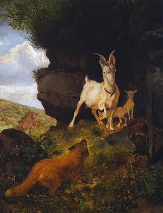 Fox and Goats