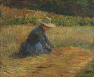 Peasant woman in the fields