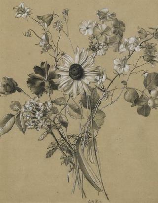 Still Life with Wild Flowers