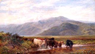 Landscape with Cattle Drinking