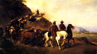 Mexican Cattle Drive in Southern California