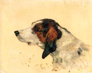 Hunting Dog