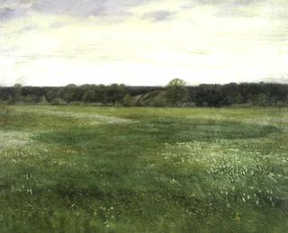 A Meadow in May Time