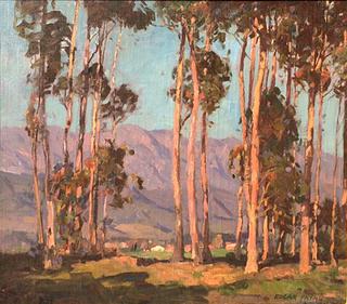 Eucalyptus and Hills