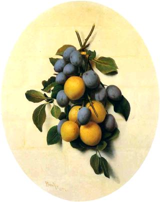 Plums