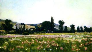 Flowering Fields, Giverny