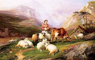 山地牧场上的牛羊