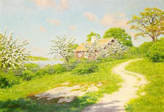 Summer landscape