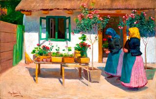 Courtyard with Oleanders