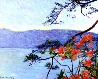 Suruga Bay, Azaleas