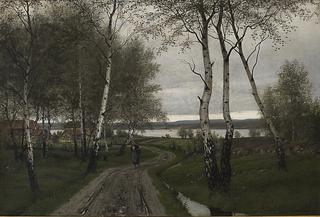 Birchwood after Rain