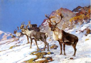 Caribou in the Mountains