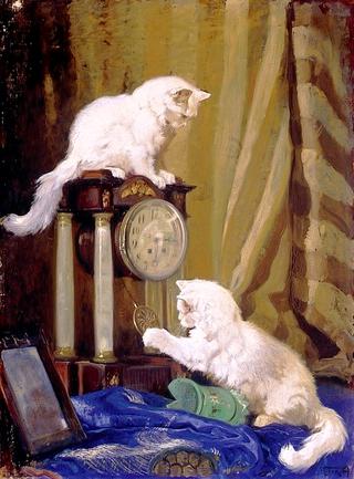 Playtime with Two Cats