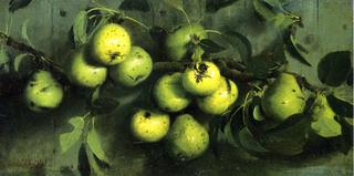 Bough of Pears with Yellow Jacket