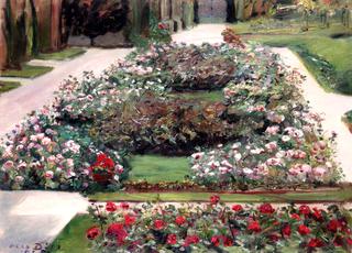 Roses in Bloom in the Park