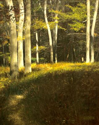Into the Woods