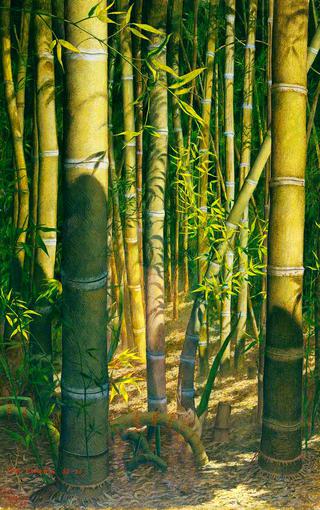 The Bamboo Grove on an Island near Ascona on Lake Maggiore