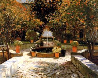 Patio with Orange Trees