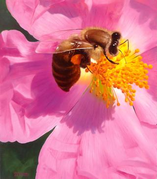 Bee