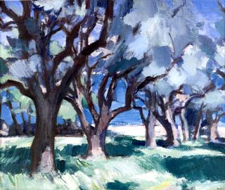 Trees, Antibes