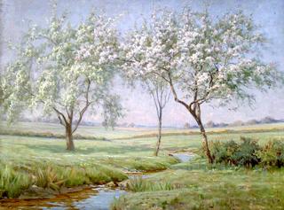 Brook, May Morning