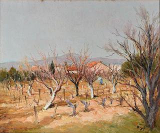 Landscape with vines