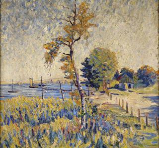 Summer Landscape