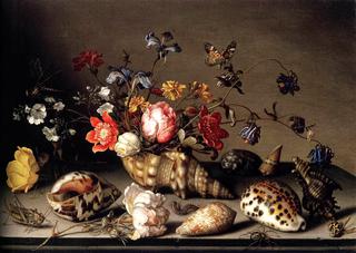 Still-Life of Flowers, Shells, and Insects