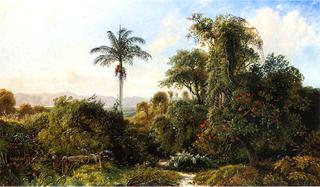 Cuban Landscape